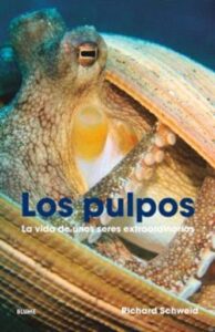 Publication 8 Los pulpos