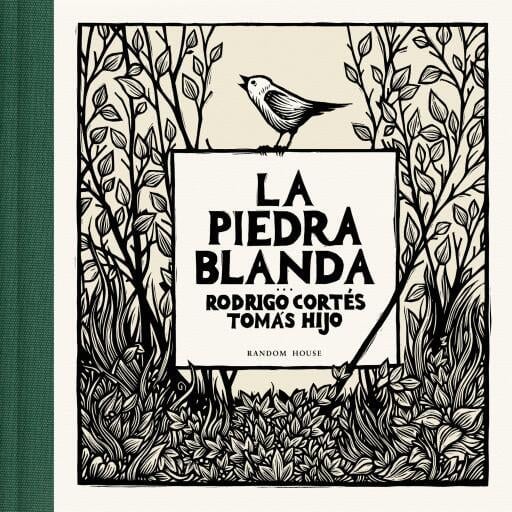 La piedra blanda