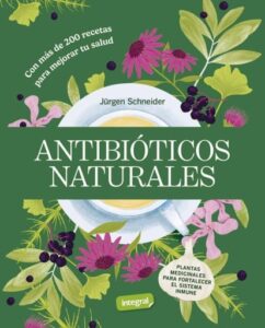 Publication 2 Antibióticos naturales
