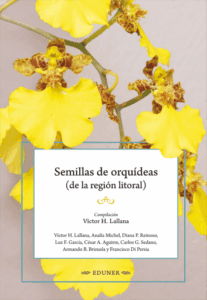 Semillas de orquídeas (de la región litoral)