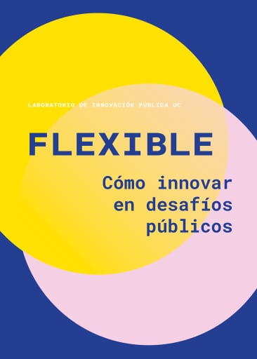 Flexible: Cómo innovar en desafíos públicos