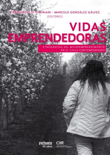 Vidas emprendedoras. Etnografías del microemprendimiento en el Chile contemporáneo