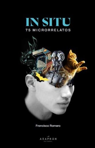 In situ: 75 microrrelatos