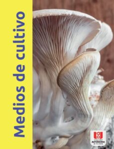 Medios de cultivo caseros.
