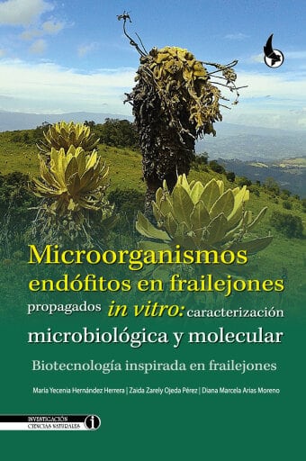 Microorganismos endófitos en frailejones propagados in vitro: caracterización microbiológica y molecular.