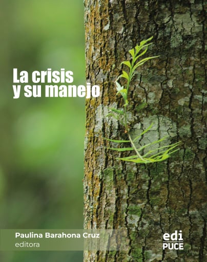 La crisis y su manejo