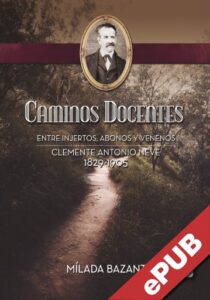 Publication 1 Caminos docentes