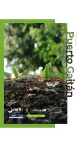 Municipio de Puerto Gaitán (Meta). Diagnóstico socioeconómico y de producción agropecuaria (2010-2022)