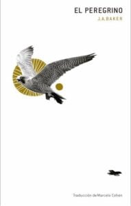 Publication 1 El peregrino