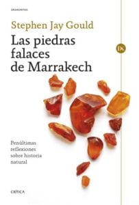 Publication 6 Las piedras falaces de Marrakech