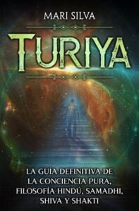 Publication 3 Turiya